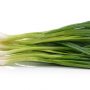 Spring Onion Bunch
